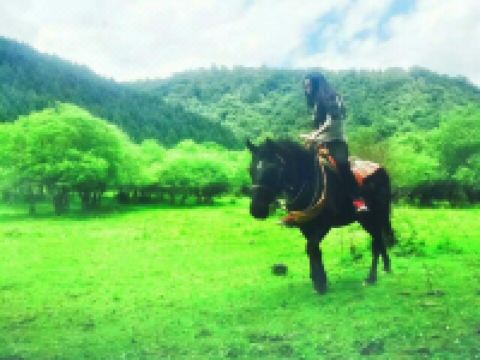 平武古寨情藏家乐 - 酒店外部