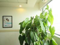 锦江之星(上海松江大学城店) - 其他