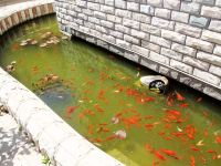 青岛悦海别墅酒店 - 公共区域