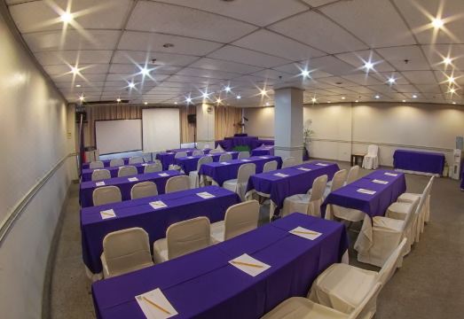 라자 파크 호텔의 로비 혹은 객실 내부