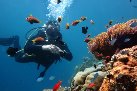 Triton Beach Hotel & Spa