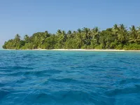 Thoddoo Retreat Grand Hotels in Thoddoo