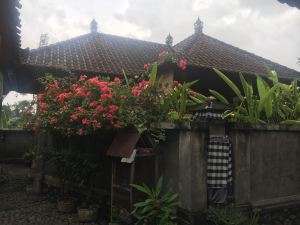 Cegeng Lestari Guesthouse