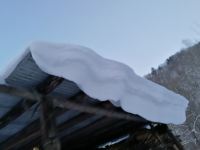 雪谷亮丽家庭旅馆 - 其他