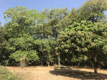 รูปภาพของอินไซท์ โฮสเทล