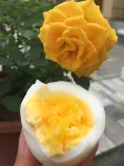 Flowers like Jinmi Anning Island Inn - Bungalow