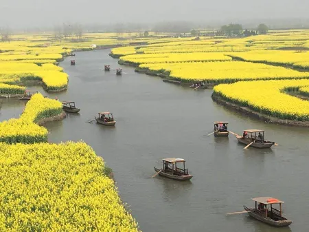 Madison Hotel Taizhou Maoye Tiandi Отели рядом с достопримечательностью «Taizhou University»