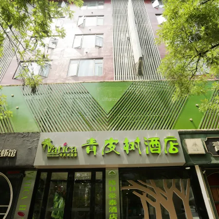 Green   skin  Hotel (Anyi Outpatient Department Store, Sanxiaokou, Lujiang Road, Hefei)