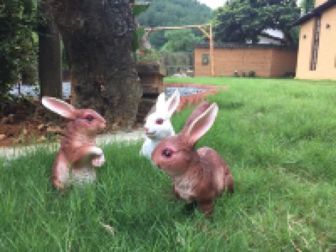 淳安云里雾里山庄 - 其他