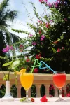 Palm Beach Resort & Spa - Bar
