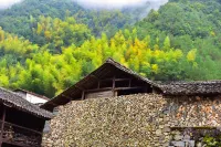 Manshanju Forest Retreat - Mountain view
