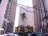 哈尔滨纬蓝公寓 - 酒店附近