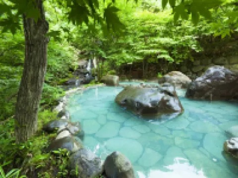 Hoshino Resorts Oirase Keiryu Hotel Hotéis em Towada