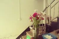 Anju Hostel