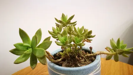 Evening Inn Отели в г. Чжоунин