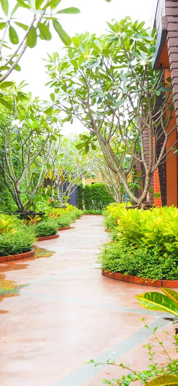 ห้องดีลักซ์ เตียงใหญ่ พร้อมทางลงสระว่ายน้ำ