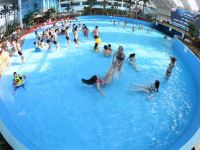 亚布力森林温泉酒店 - 室内游泳池