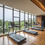 Four Points By Sheraton Jiangmen Heshan Fangyuan - Gym