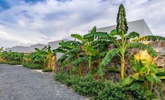 a stone wall with a brick walkway and large green plants in front of it at Que Toi Village Resort Phu Yen