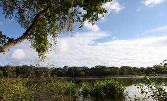 a serene lake with trees and clouds in the background , creating a peaceful and picturesque scene at Falkensee