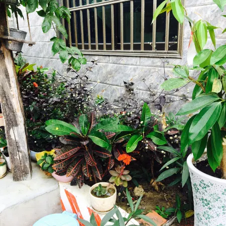 Huandao Leqi Inn