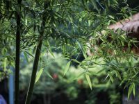 武夷山那里六号院 - 其他