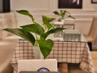 XY Hotel (Tongling Beidouxing City Government) Hotels in Tongling