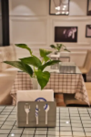 XY Hotel (Tongling Beidouxing City Government)