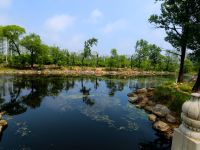 秦皇岛海岸逸舍海景公寓 - 其他