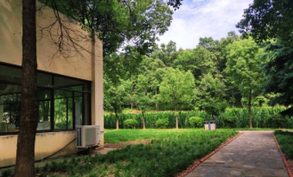 Xi chuan xiang yuan bin guan - Housity