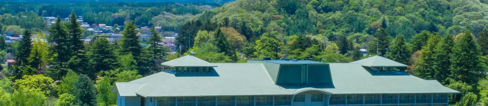 Top 50 Scenic Hotels near Narusawa