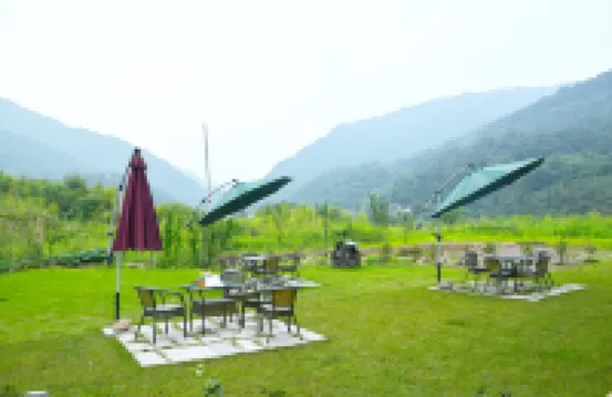 峨眉山市醉木溪民宿