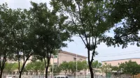 蜂巢星光飯店（天津交通職業學院店） 柳青商廈附近的飯店