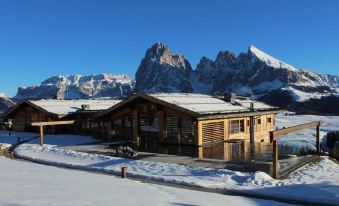 Adler Spa Resort Dolomiti