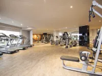 Pullman Sao Paulo Vila Olimpia Hotels near Infinity Tower