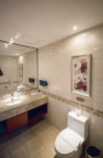 โรงแรมหลินอี้ (โซนพัฒนา)