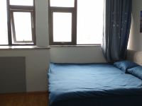 淄博格调式公寓 - 简约一室大床房