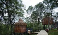 Guanshan Prairie Huaxi Sushang Tree House Hostel