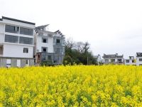 黄山花间宿庄园民宿 - 酒店景观