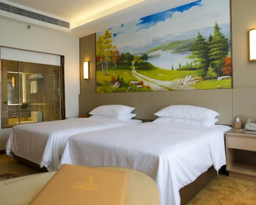 Vienna International Hotel الغرف Photos