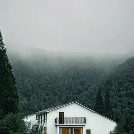 Apricot SENSE. Aesthetic Design of Mogan Mountain Residence