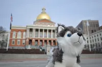 Staypineapple, A Delightful Hotel, South End