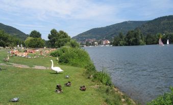 Neu Heidelberg - Guesthouse & Apartments