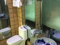 喀什阿里山宾馆 - 商务大床房