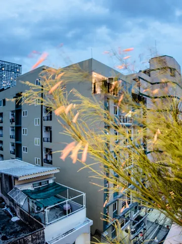 รูปภาพของณุศบา เบด บางกอก