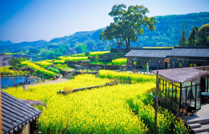 Ninghai Huayuanli Homestay