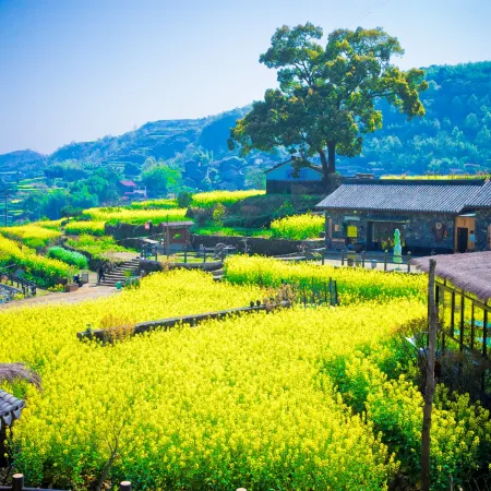 Ninghai Huayuanli Homestay