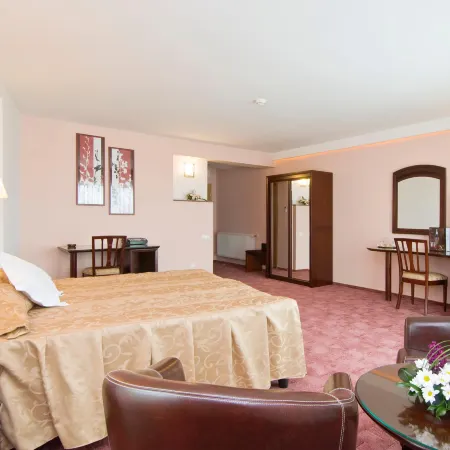 Hotel Ambient