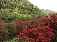 杭州郎山小院 - 酒店附近