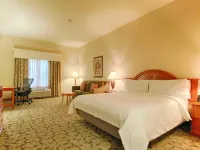 Hilton Garden Inn Las Vegas Strip South Hotels near Bass Pro Shops